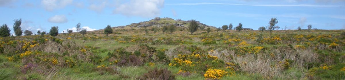 Dartmoor Geocaching