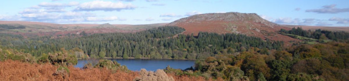 Dartmoor Geocaching