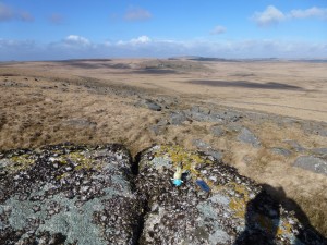 Toby's Tor Hopper on Fox Tor