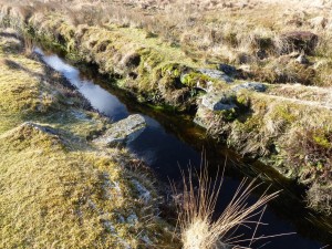 Sheep Leap on the Devonport Leat