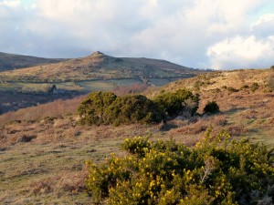 Thorntons Cache3