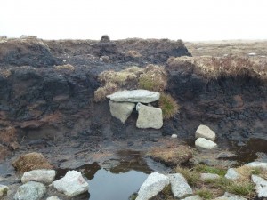 Whitehorse Hill Cist