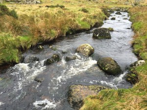 East Dart Island