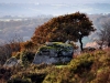 autumnal-views-65a5786d060d8747ef068a0fb5ebf11bc236cd0c