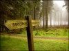 bridlepath-865c20164ded163fa8c1f50369b86434256428c3