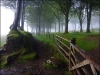 brisworthy-plantation-528e1ff586b608e524bd7f8c169345edd0c9ade4