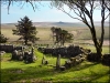 ditsworthy-d741d745f783d89050049c3c5f09c391c1df5cd4
