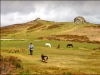 haytor-rocks-a4fe1b2bc415f3a557eb98b41b916f0ca562dd28