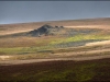 hen-tor-70ab395bfae064e74e3fe6f0d96a0a5f7af08255