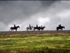 horses-37041e56391fabeb41f2cb74abb8b14d91b8b79b