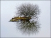 island-b4e3741b523d9164b94206da7354c0822d44d168