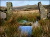 pond-2900b923f5d9996d9b5753169abb4d2e8d94f83c