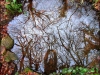 pool-19aaf91fc23080a8b0485d74465c285820e4b5f2