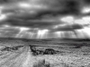 ps-bw-dsc_0058_59_60_tonemapped-f6b1aa50d560fbbdf5a966eaccd3d2041d3e8dd1