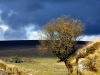 sky-2-be6745cc3d9060562abfc6051620ab04497541f6