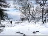 snow-scene-near-lowery-cross-50cbb2a2489e21d8b4f8d065f94d35eb565d1842