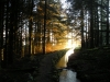 sunset-on-leat-734ff64adfe9e39094153b63f66ae24f1307098a