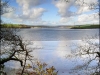 tamar-2655fcca71b19c5c4bef3766f9e5217e76d562b0