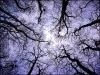 tangled-up-in-blue-ee505dbc2fb3209f9d6f654a0d8d790a1e37e149