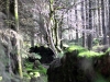 way-to-leat-0de68d63ecef6ce66aadf377f11df7113c88c181